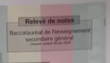Relevé de notes du baccalauréat de l'enseignement secondaire général session unique 2022 partiellement visible sur fond tricolore rouge blanc bleu