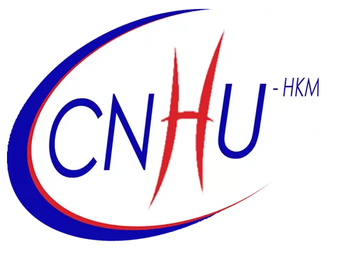 Logo en ovale avec les lettres CNHU en bleu et rouge sur fond blanc avec une bande bleue à gauche et rouge en bas