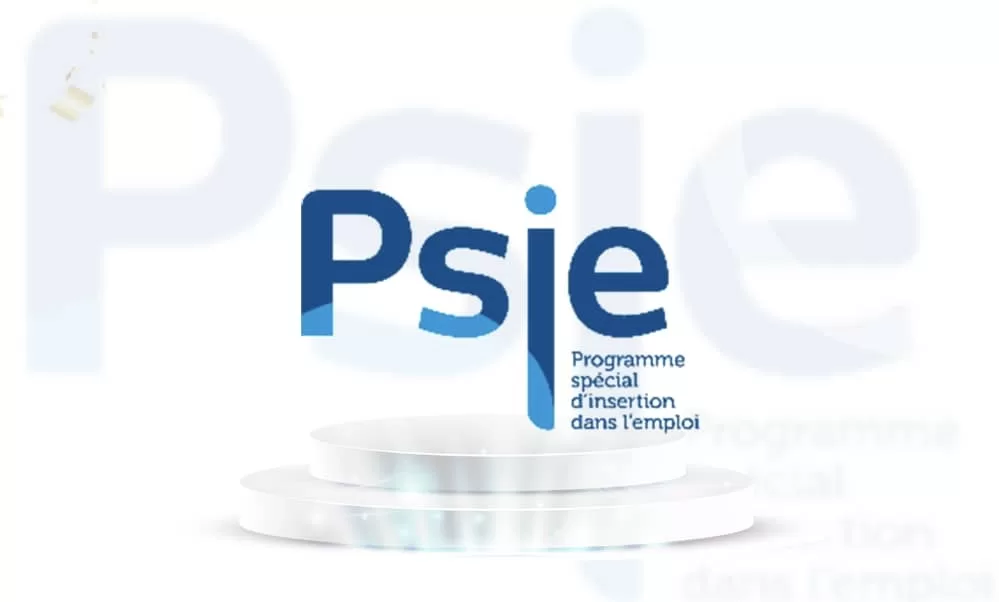 Logo bleu et blanc du Programme spécial d'insertion dans l'emploi sur un fond légèrement flouté du même logo