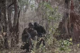 Deux hommes en tenue militaire camouflés accroupis dans une zone boisée dense en train de manipuler un équipement