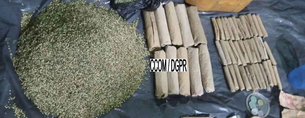 Matière végétale étalée et plusieurs rouleaux emballés posés sur une surface noire avec inscription CCOM/DGPR