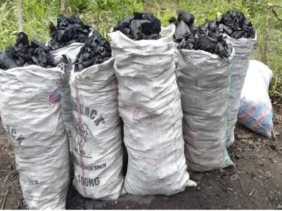 Sacs en toile remplis de morceaux de charbon posés sur le sol en milieu végétal
