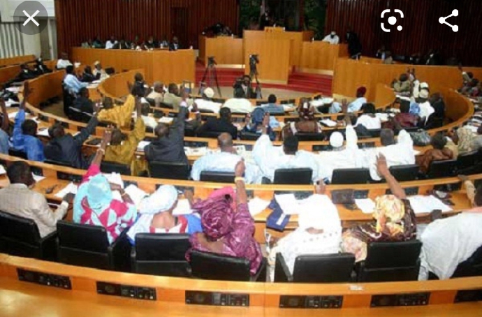 Assemblée en session avec plusieurs participants levant la main dans un hémicycle en bois clair