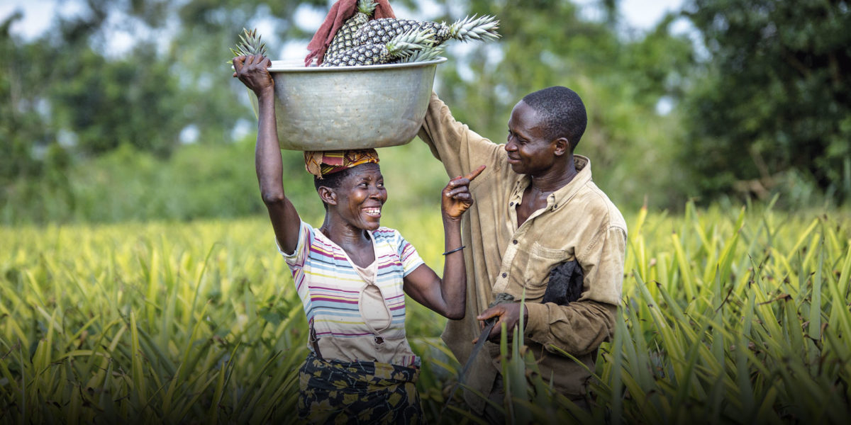Deux personnes souriantes dans un champ de cultures, l’une porte une bassine avec des ananas sur la tête, l’autre la touche amicalement au bras