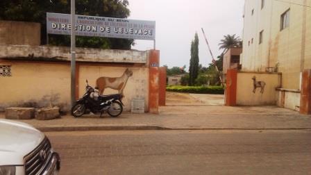 Entrée d un bâtiment avec un panneau direction de l élevage et des dessins d animaux sur les murs